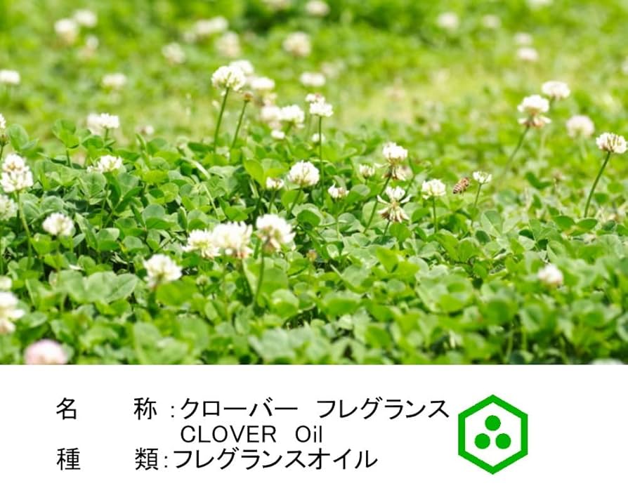 パワーアロマテラピークローバー Amazon.co.jp: NOTO クローバーオイル CLOVER OIL 5ml